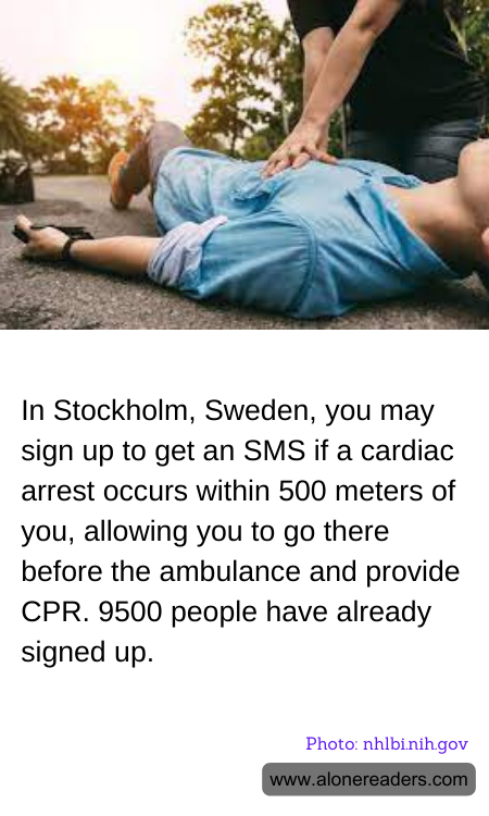 General Knowledge Learning Cards