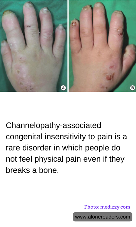 General Knowledge Learning Cards