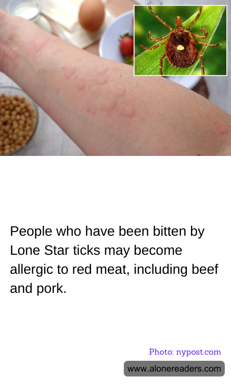 General Knowledge Learning Cards