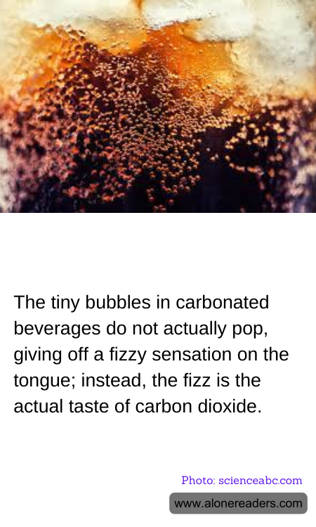 General Knowledge Learning Cards