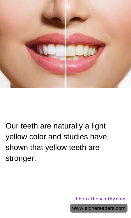 Our teeth are naturally a light yellow color and studies have shown that yellow teeth are stronger.