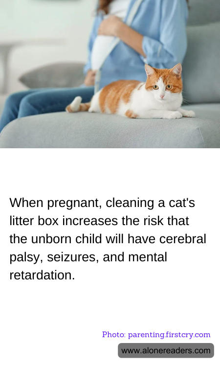 When pregnant, cleaning a cat's litter box increases the risk that the unborn child will have cerebral palsy, seizures, and mental retardation.