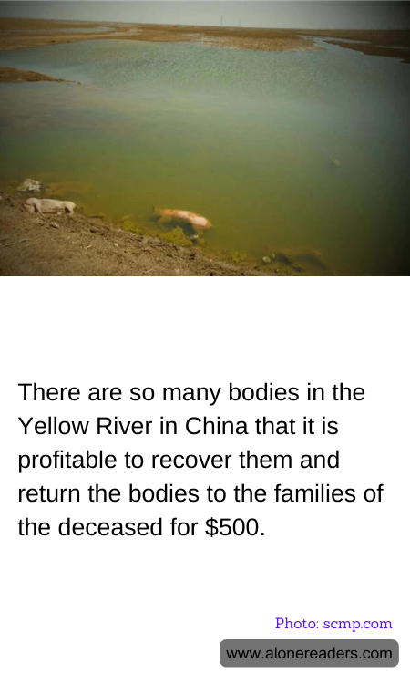 General Knowledge Learning Cards