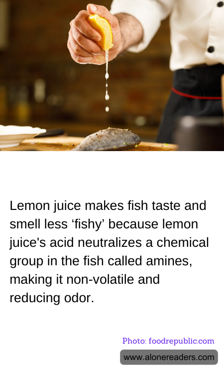 General Knowledge Learning Cards