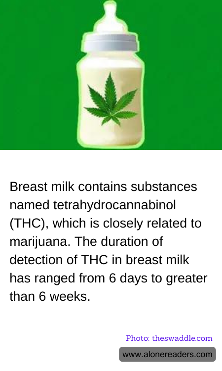 General Knowledge Learning Cards