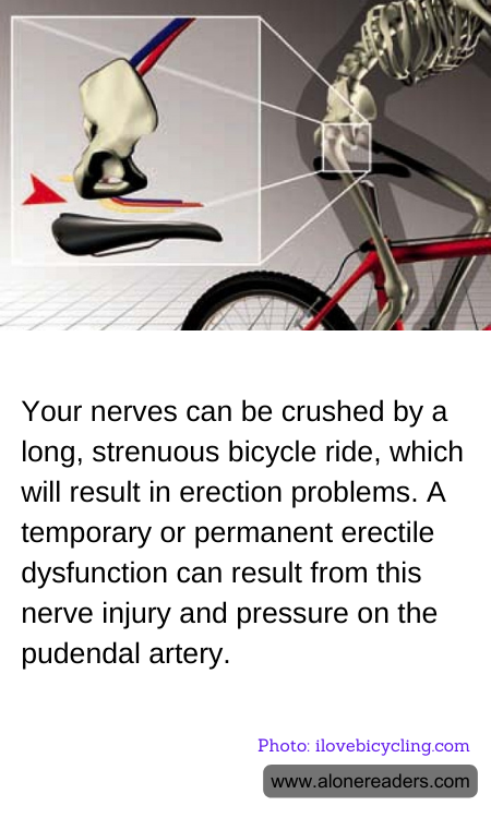 General Knowledge Learning Cards