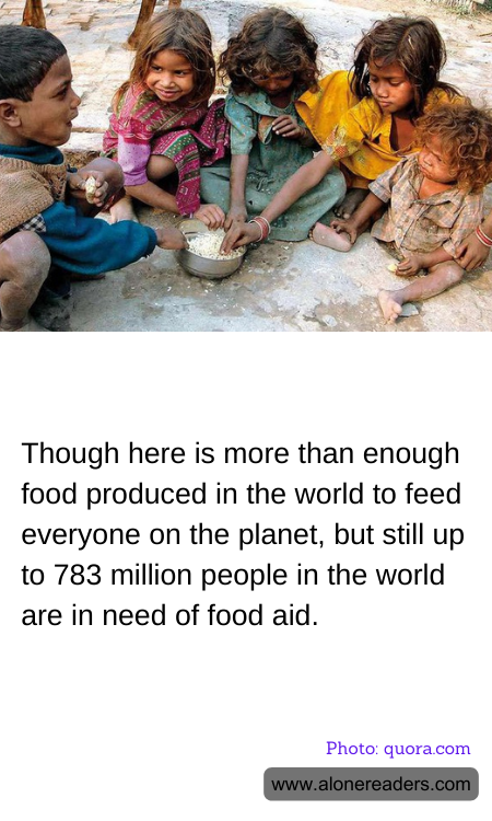 General Knowledge Learning Cards