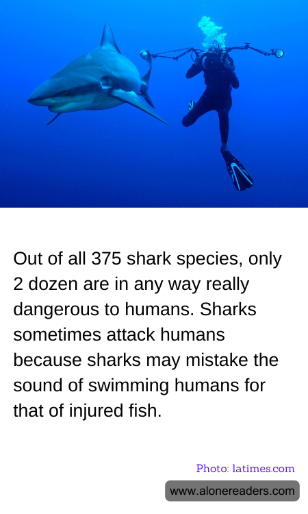 Out of all 375 shark species, only 2 dozen are in any way really dangerous to humans. Sharks sometimes attack humans because sharks may mistake the sound of swimming humans for that of injured fish.