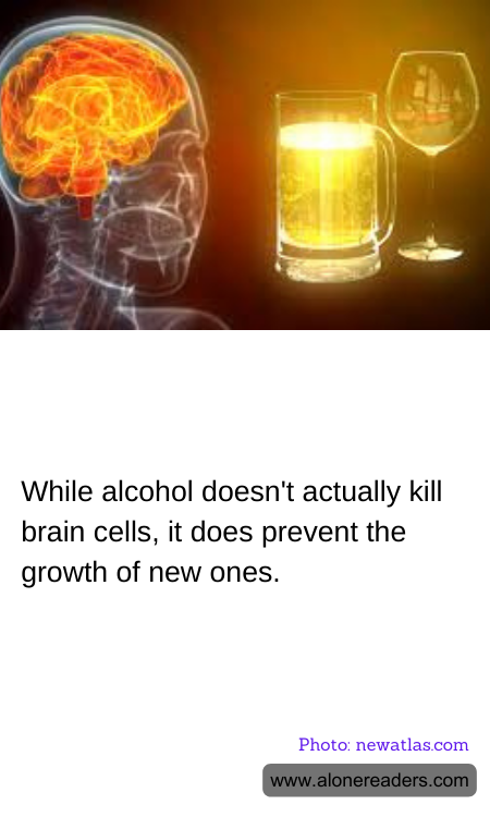 General Knowledge Learning Cards