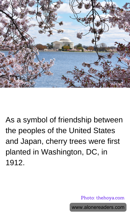 General Knowledge Learning Cards