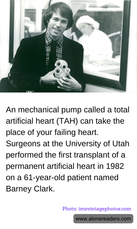 General Knowledge Learning Cards