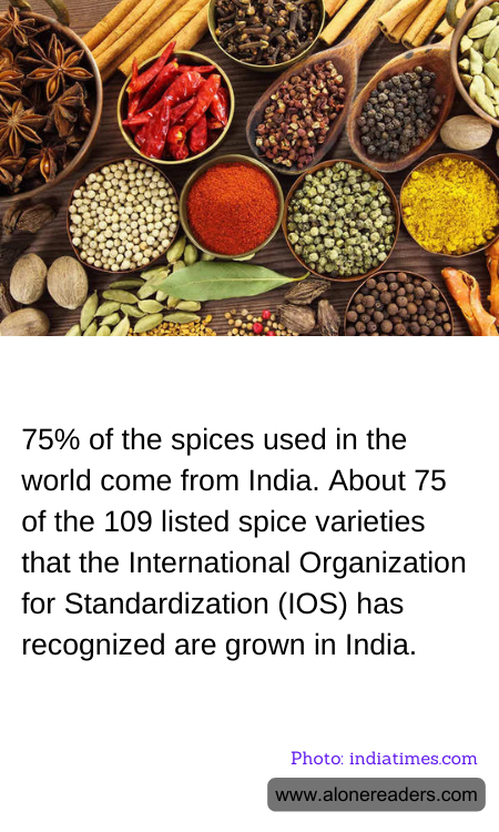 General Knowledge Learning Cards