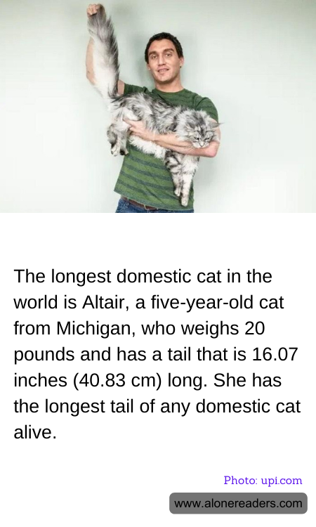 General Knowledge Learning Cards