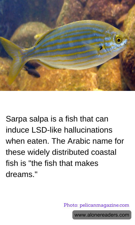 General Knowledge Learning Cards