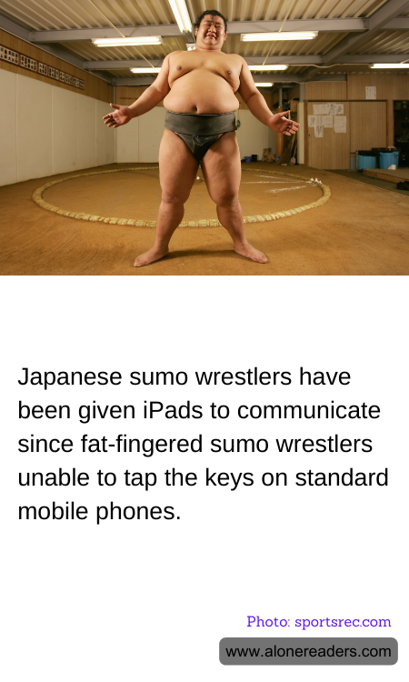 General Knowledge Learning Cards