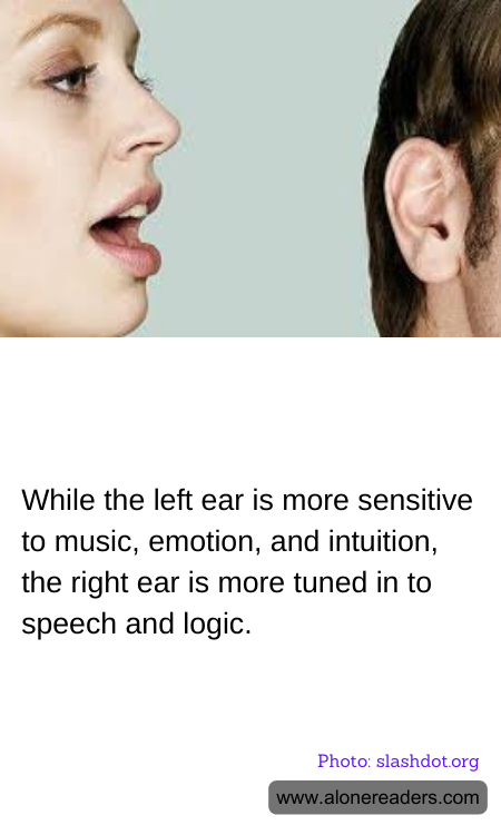 General Knowledge Learning Cards