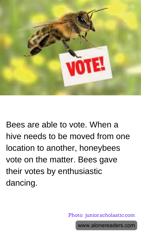 Bees are able to vote. When a hive needs to be moved from one location to another, honeybees vote on the matter. Bees gave their votes by enthusiastic dancing.