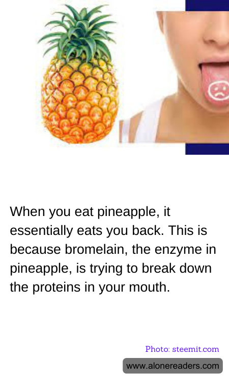 When you eat pineapple, it essentially eats you back. This is because bromelain, the enzyme in pineapple, is trying to break down the proteins in your mouth.