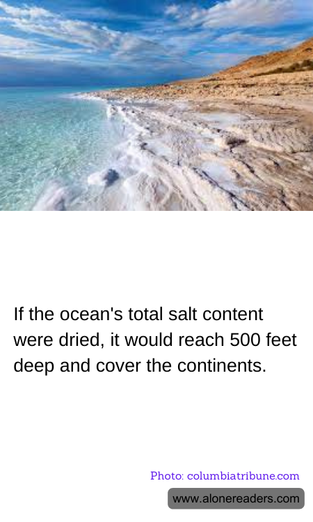 General Knowledge Learning Cards