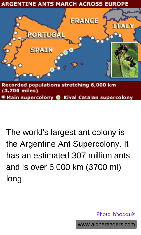 General Knowledge Learning Cards