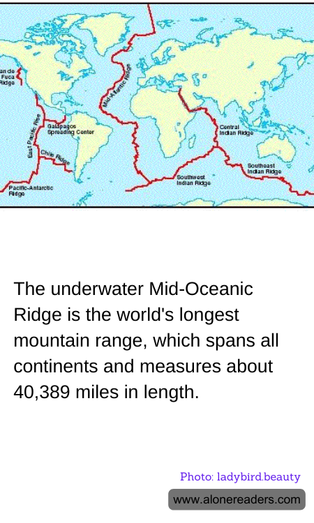 General Knowledge Learning Cards