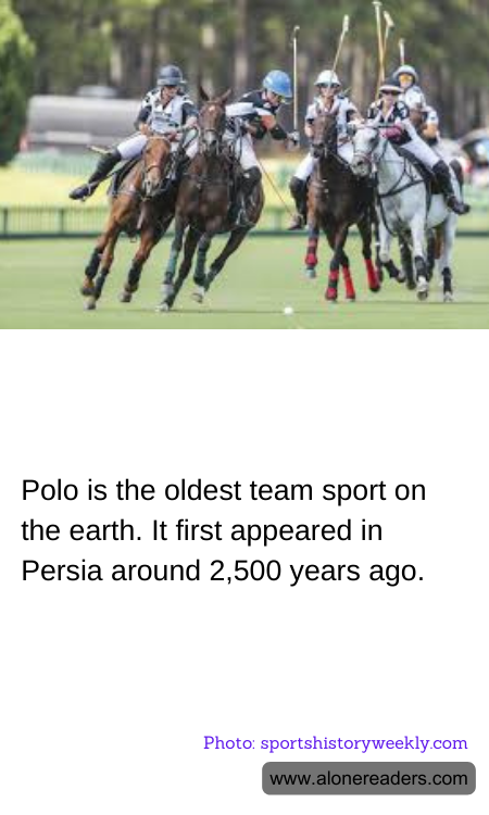 Polo is the oldest team sport on the earth. It first appeared in Persia around 2,500 years ago.