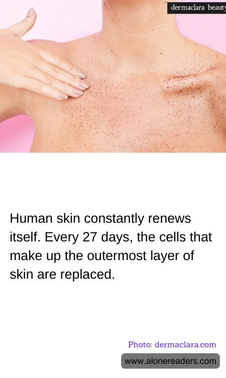 General Knowledge Learning Cards