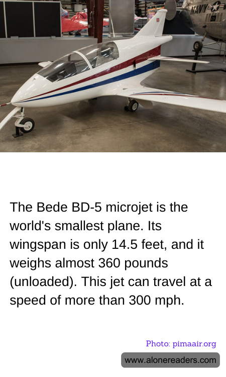 General Knowledge Learning Cards