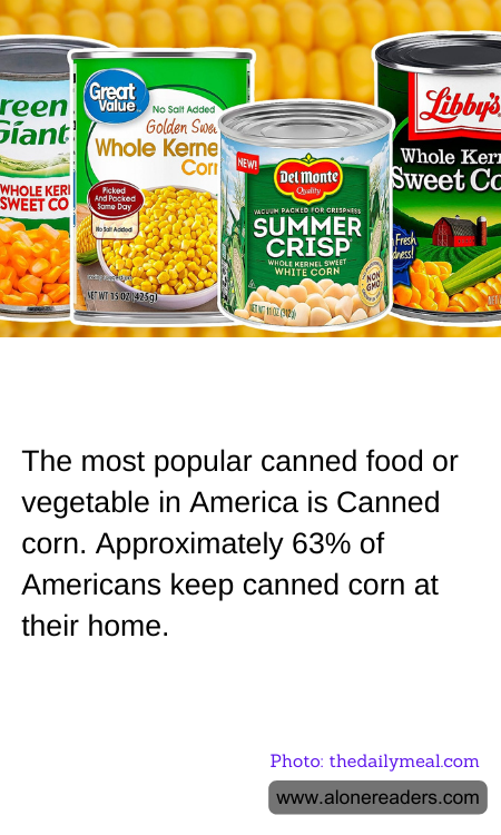 General Knowledge Learning Cards