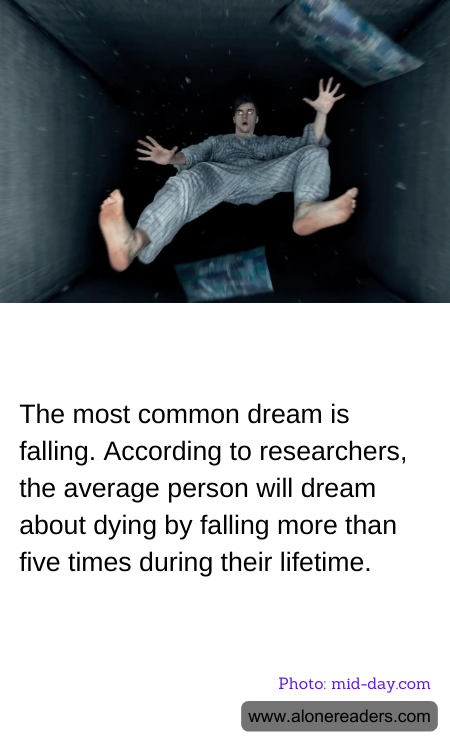 General Knowledge Learning Cards