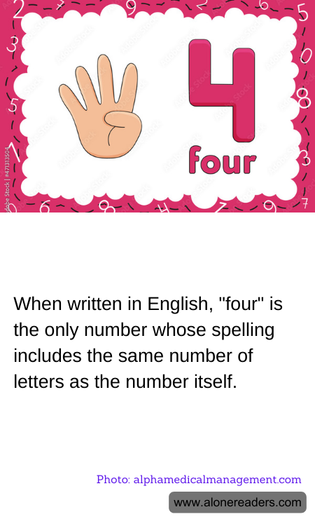 General Knowledge Learning Cards