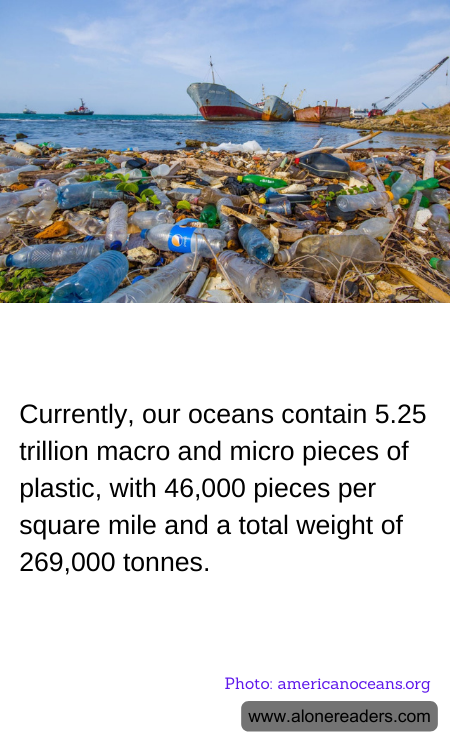 General Knowledge Learning Cards