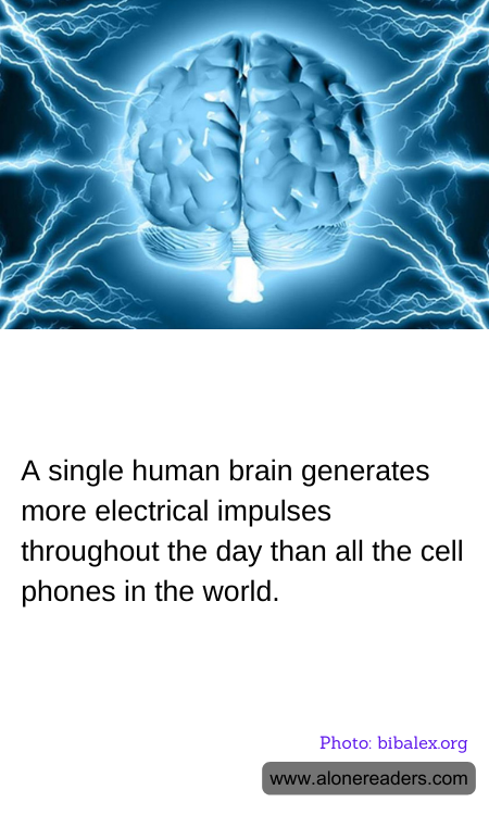 A single human brain generates more electrical impulses throughout the day than all the cell phones in the world.