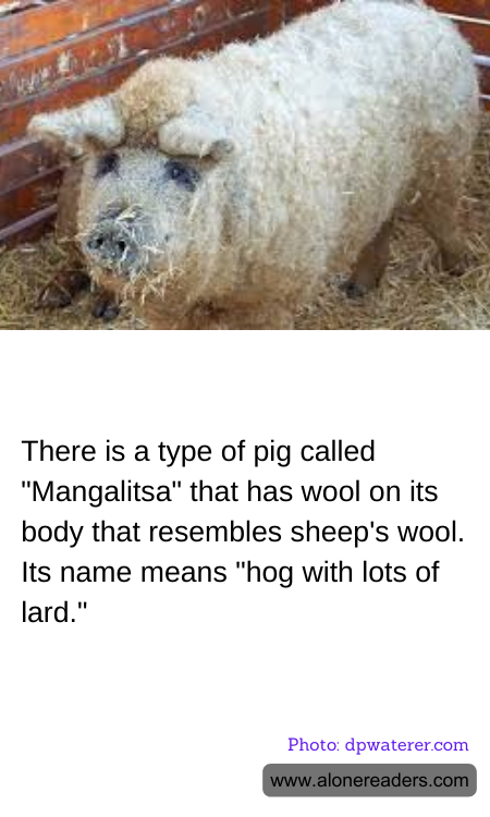 General Knowledge Learning Cards