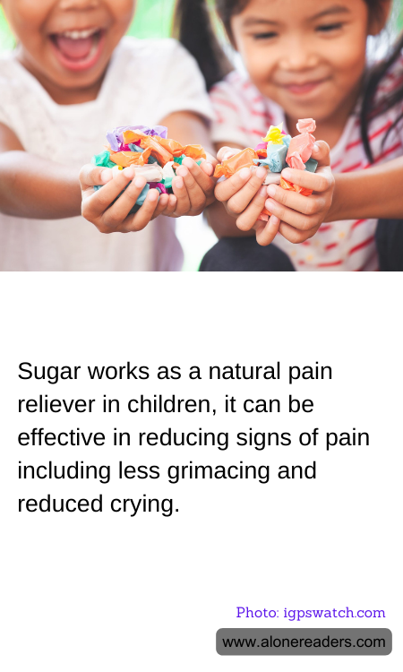 General Knowledge Learning Cards