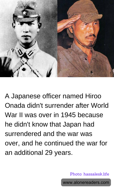 General Knowledge Learning Cards