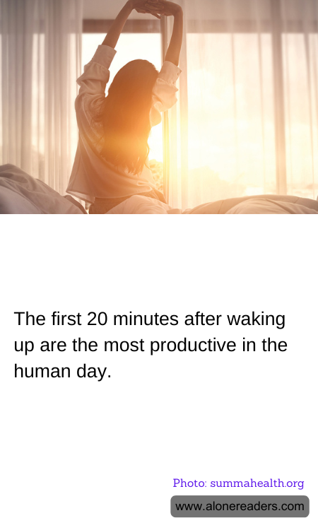 The first 20 minutes after waking up are the most productive in the human day.