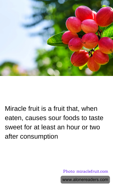 General Knowledge Learning Cards