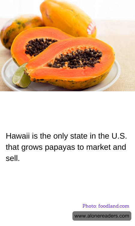 Hawaii is the only state in the U.S. that grows papayas to market and sell.