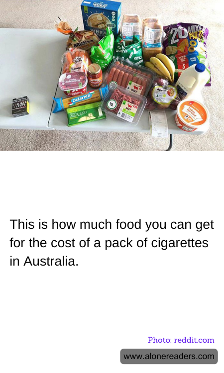 General Knowledge Learning Cards