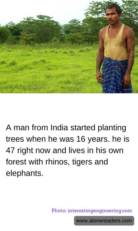 A man from India started planting trees when he was 16 years. he is 47 right now and lives in his own forest with rhinos, tigers and elephants.
