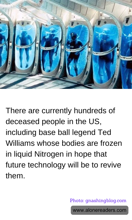 General Knowledge Learning Cards