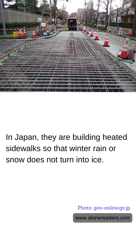 General Knowledge Learning Cards