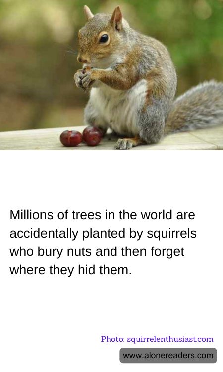 General Knowledge Learning Cards