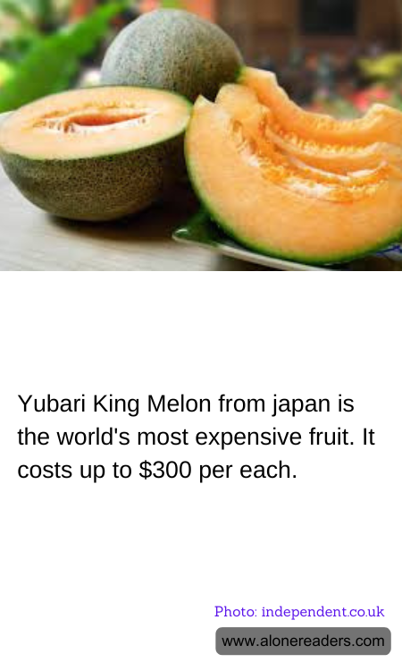 General Knowledge Learning Cards