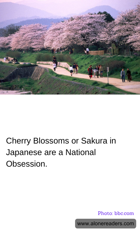 General Knowledge Learning Cards