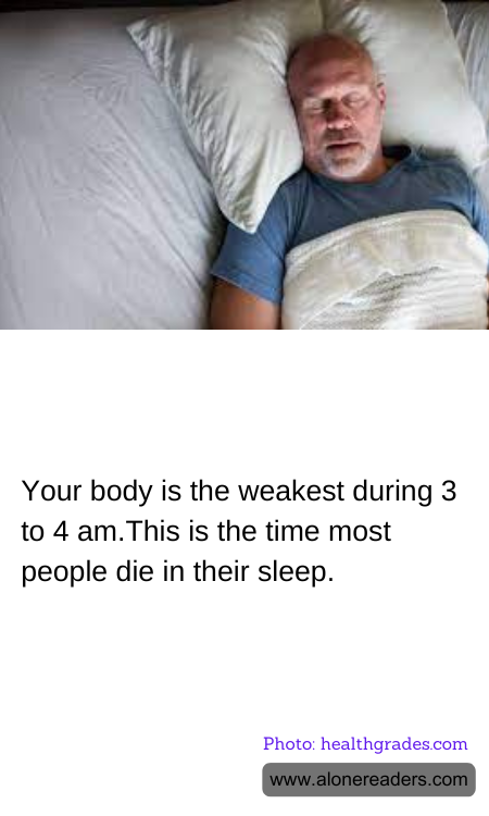 General Knowledge Learning Cards