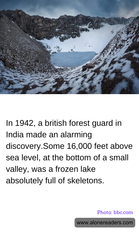 General Knowledge Learning Cards