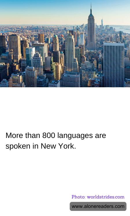 More than 800 languages are spoken in New York.