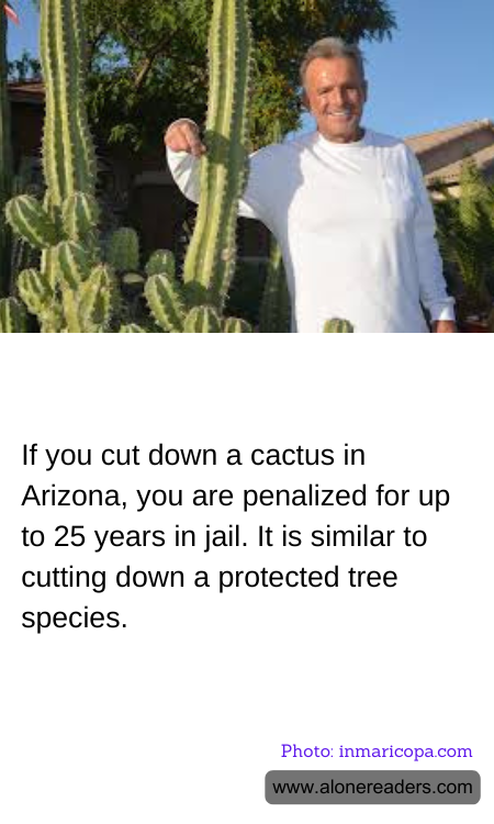 If you cut down a cactus in Arizona, you are penalized for up to 25 years in jail. It is similar to cutting down a protected tree species.